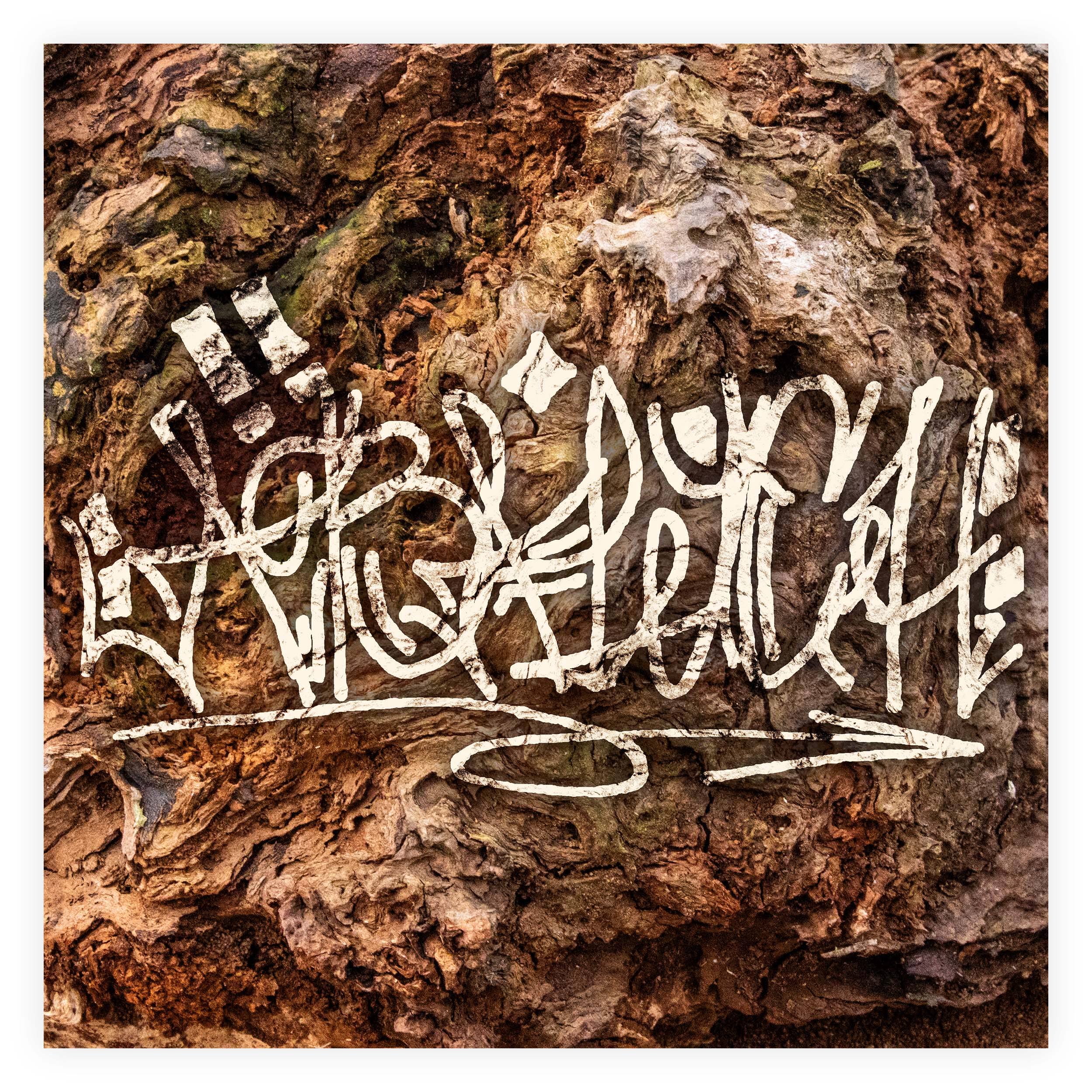 Graffiti Bark Sticker 2.0